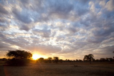 Afrika günbatımı