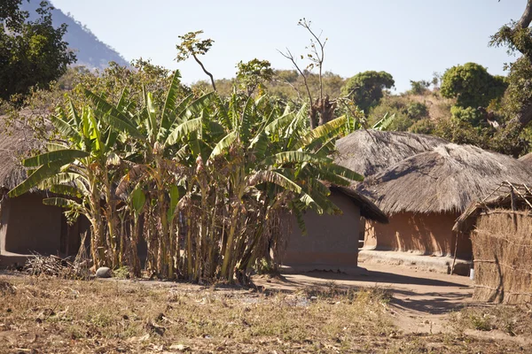 African Village — Stock Photo, Image
