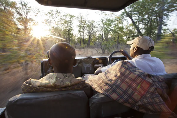 stock image Game drive