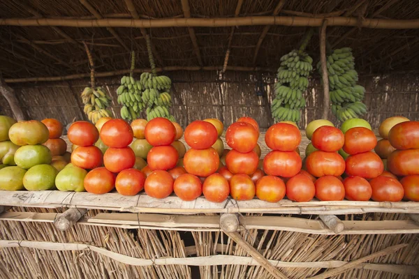 Afrikanska tomater — Stockfoto