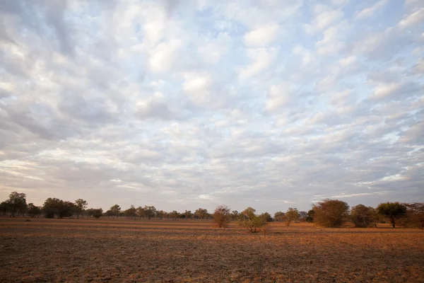 アフリカの日没 — ストック写真
