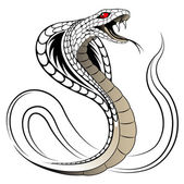 Vektor kígyó, Cobra