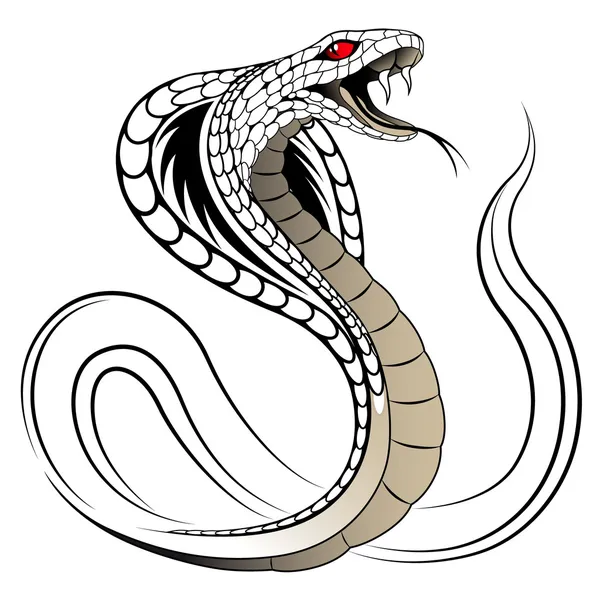 Vector Snake, Cobra — Stock Vector