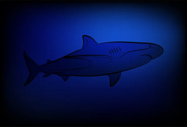 Акула в океане — стоковый вектор