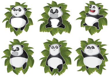 Pandas isolated in the leaves clipart