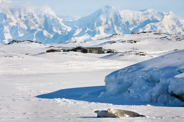 Krásná krajina v Antarktidě — Stock fotografie