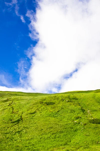 ทุ่งหญ้าสีเขียวและท้องฟ้าสีฟ้า — ภาพถ่ายสต็อก