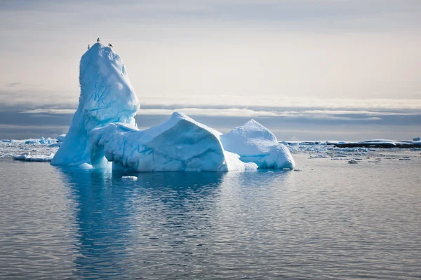 Antarctische ijsbergen — Stockfoto