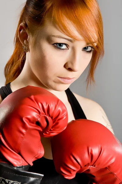 Boxer em formação — Fotografia de Stock