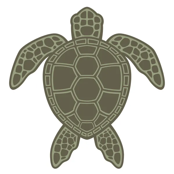 Zelená mořská želva — Stockový vektor