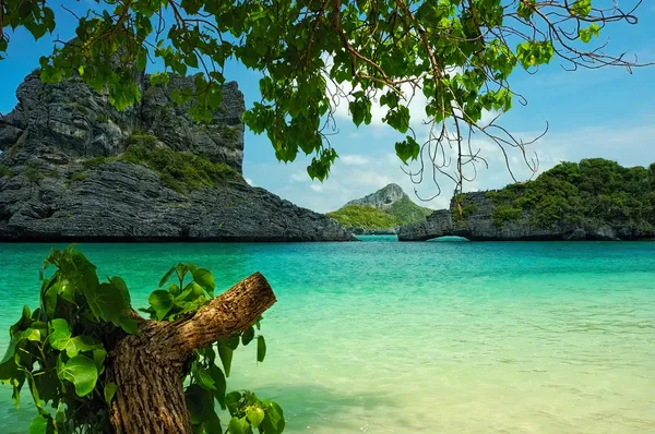 Laguna tropical — Foto de Stock