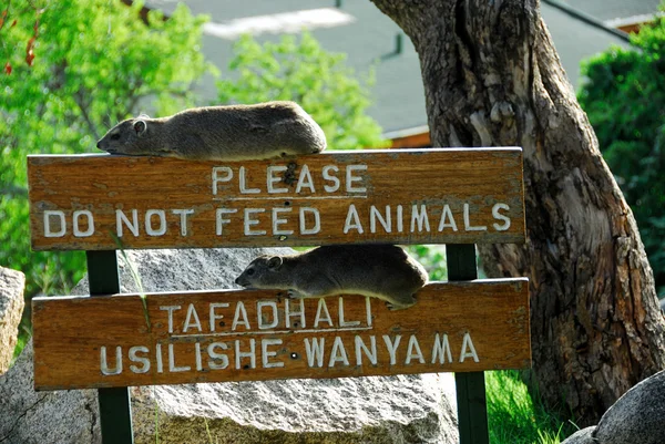 Per favore, non date da mangiare agli animali — Foto Stock
