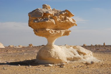 Unusual rock in the desert clipart