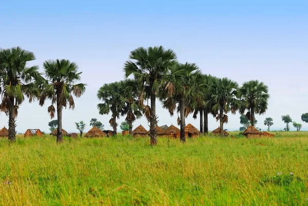 Traditional African village — Stock Photo, Image