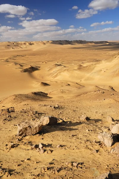 Wüste Sahara — Stockfoto