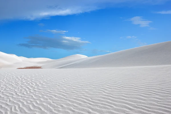 Beyaz dune — Stok fotoğraf