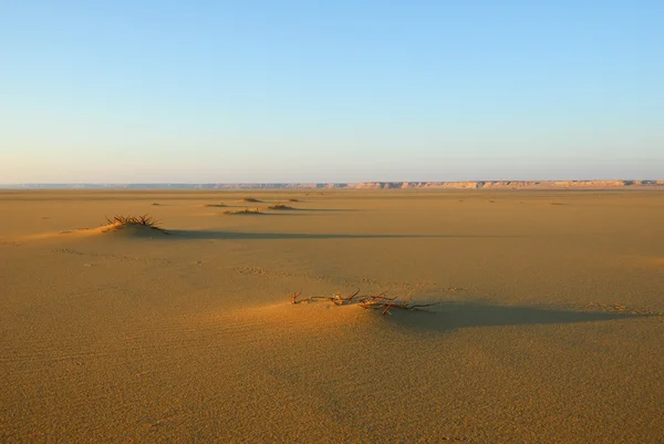古典的な砂漠 — ストック写真