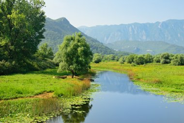 kırsal manzara resim