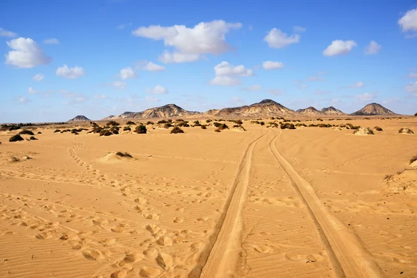 Sahara, le désert noir, Egypte — Photo