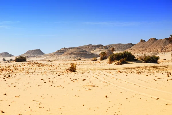 Desierto del Sahara, desierto occidental, Egipto — Foto de Stock