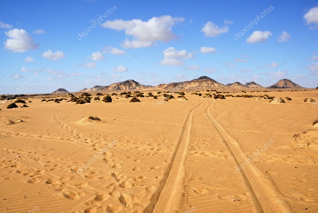 Sahara, the Black desert, Egypt Stock Photo by ©znm666 5703000