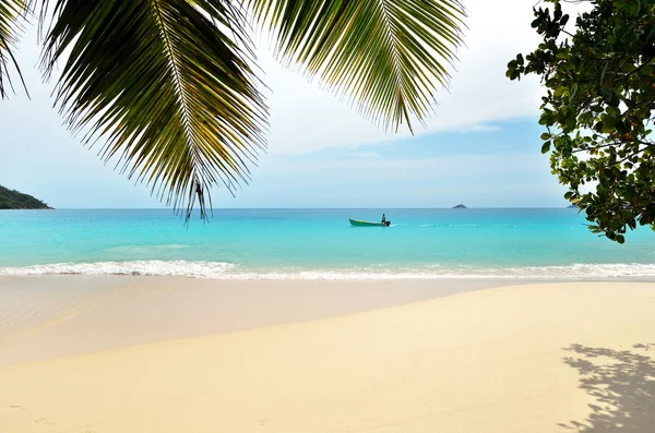 Pantai tropis — Stok Foto