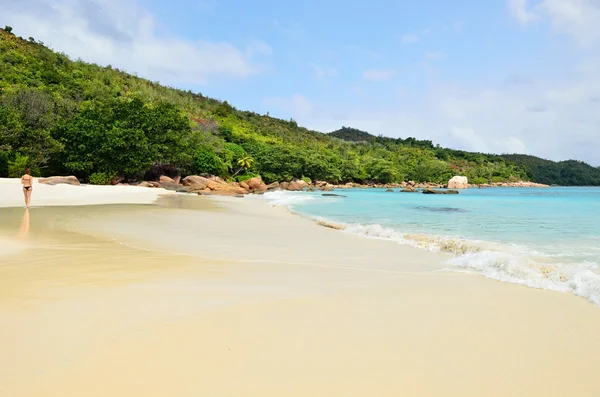 Tropical sandy beach — Stock Photo, Image