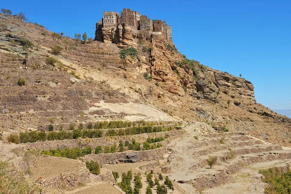 stock image Plantation of coffee, Yemen