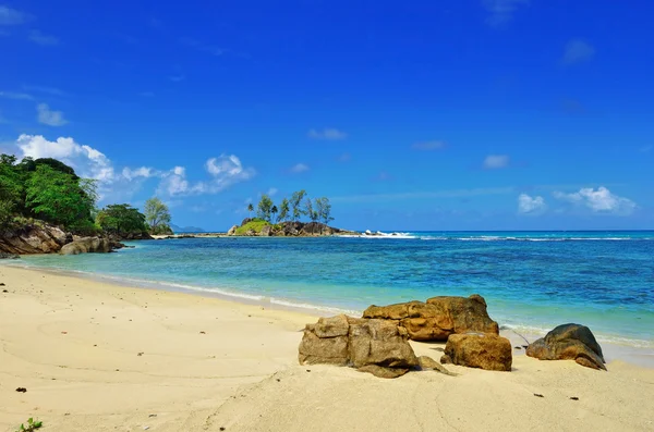 Tropiska stranden — Stockfoto