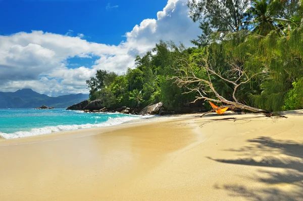 Tropische vakantie — Stockfoto
