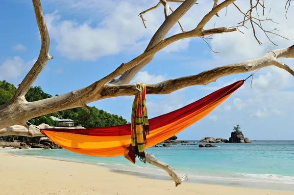 Hamaca en las playas de las islas Seychelles — Foto de Stock