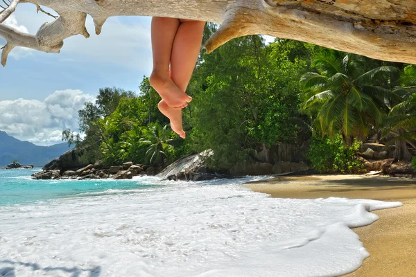 Vacanza tropicale — Foto Stock