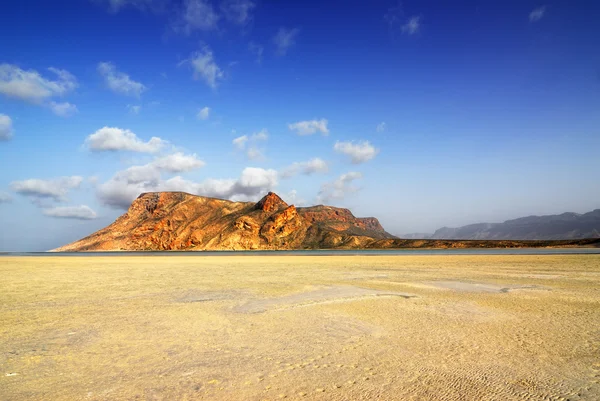 Socotra island — Stockfoto