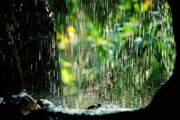 Дощ потоки — стокове фото
