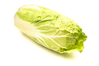 Napa cabbage clipart