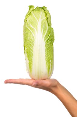 Hand with a cabbage clipart