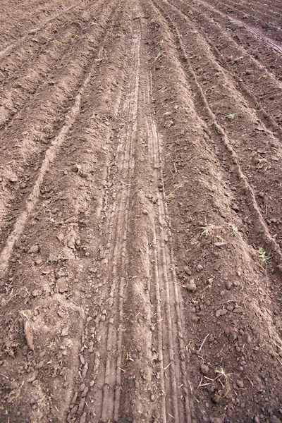 Ploughed earth — Stock Photo, Image