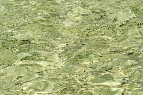 Зелена водою — стокове фото