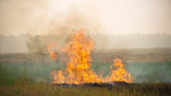 Disaster area — Stock Photo, Image