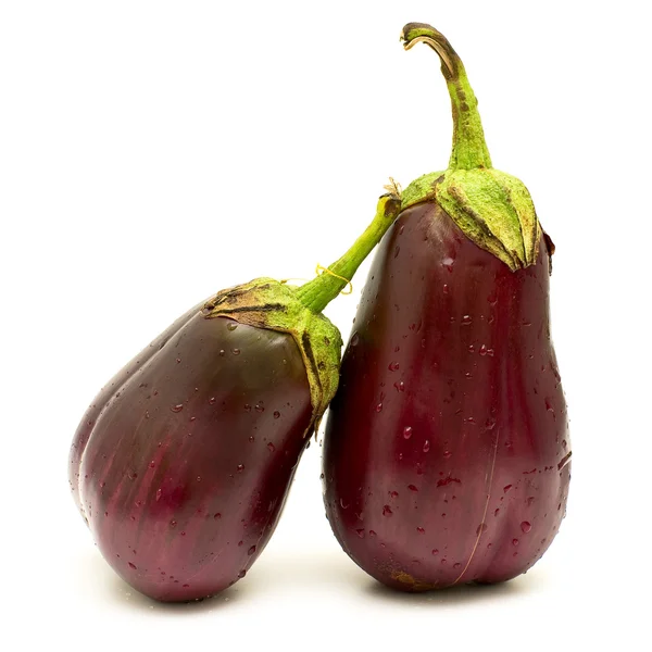 stock image Couple eggplants