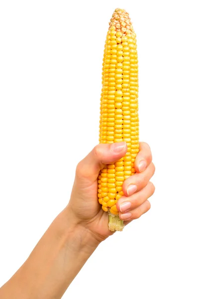 Hand with corn — Stock Photo, Image