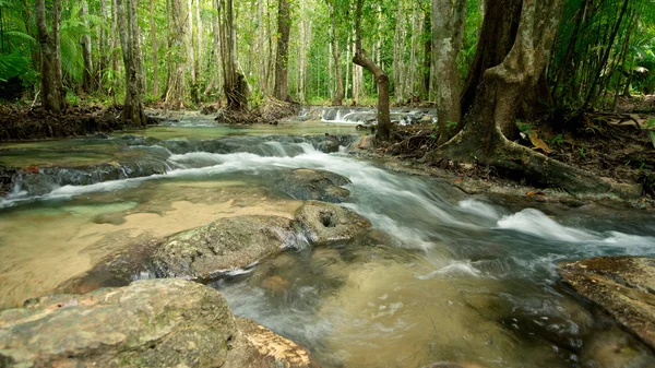 Forest river — Stock Photo, Image