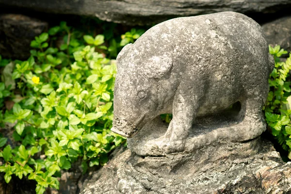 石造りの豚 — ストック写真