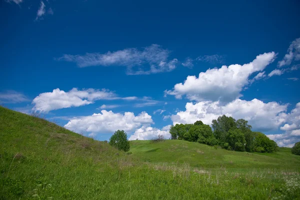 Hill ve çayır — Stok fotoğraf