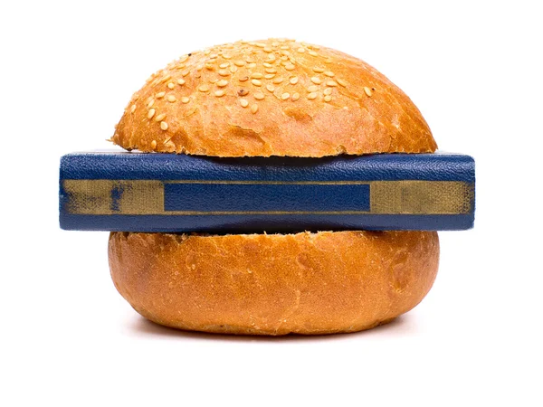 Intellektuella burger — Stockfoto