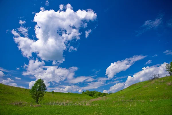 Céu e campo nublados — Fotografia de Stock