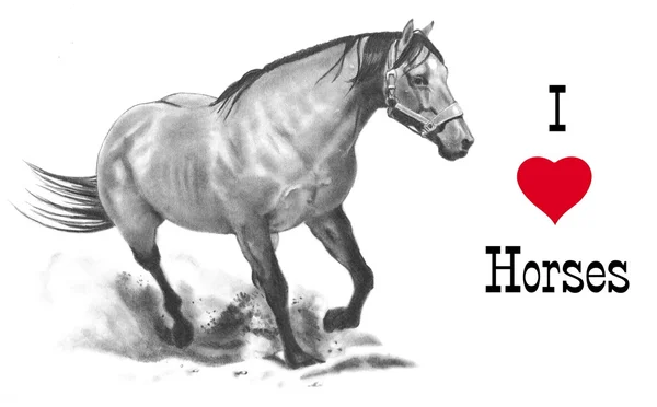 Ik hou van paarden; FreeHand potlood tekening — Stockfoto