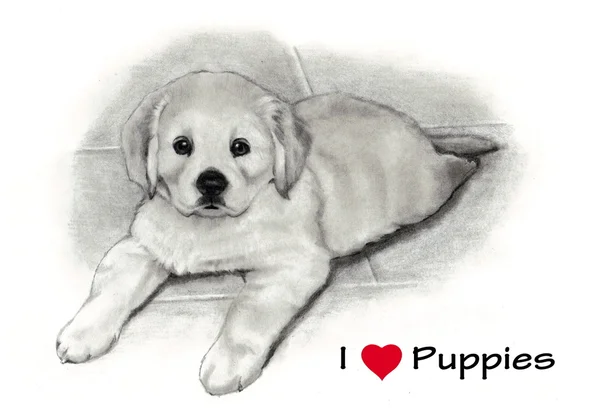 I Love (Heart) Puppies, Pencil Draw — стоковое фото