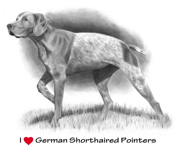 I Love (καρδιά) γερμανική κοντότριχα δείκτες: μολύβι — Φωτογραφία Αρχείου