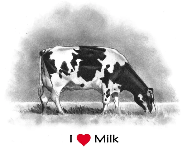 Amo la leche (corazón): Dibujo a lápiz de la vaca Holstein — Foto de Stock
